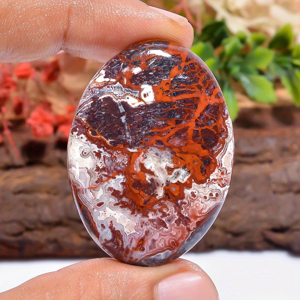 Gemstone Polishing Kit - 1pc Mexican Crazy Lace Agate Palm
